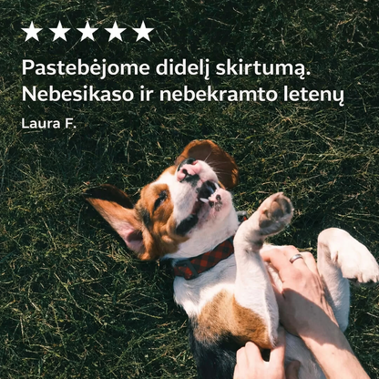 IntegroPet - Virškinimo probiotikas