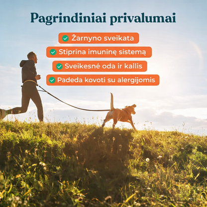 IntegroPet - Virškinimo probiotikas