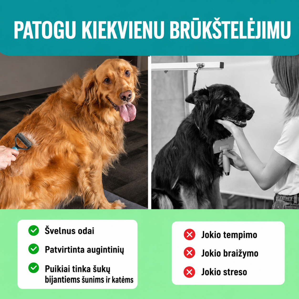 Dvipusės augintinių šukos 🐶🐱