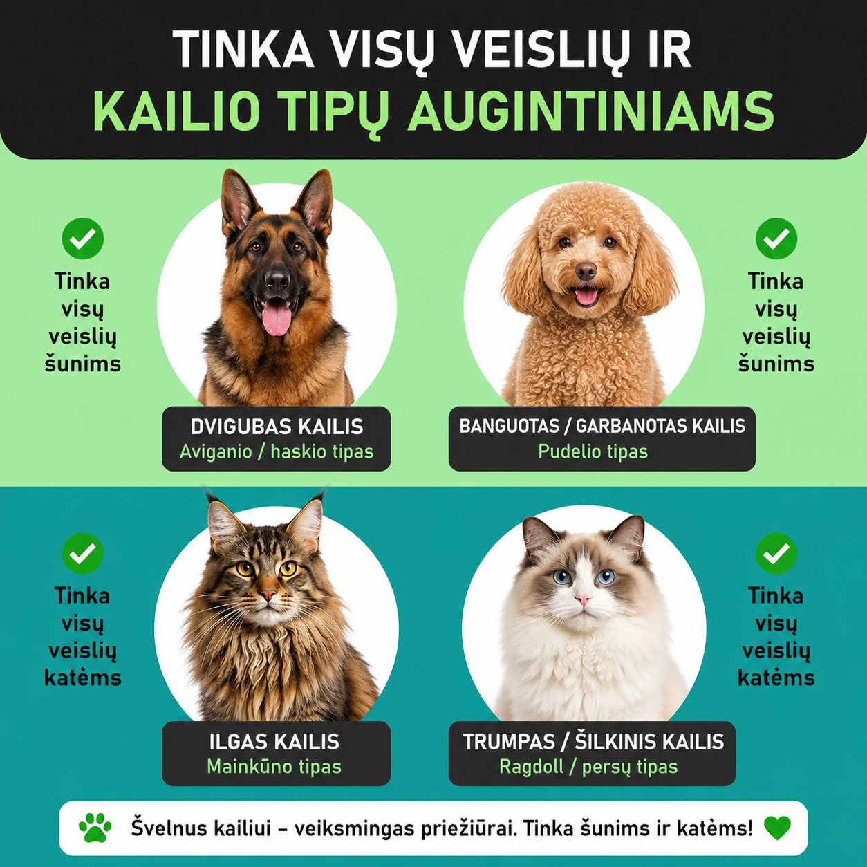 Dvipusės augintinių šukos 🐶🐱